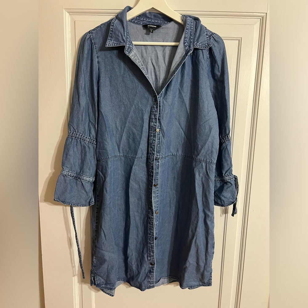 Express Denim Dress